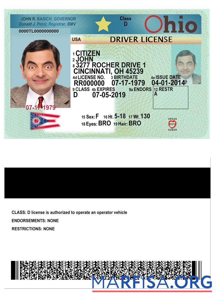 Blank USA Ohio driving license 2018 present real example